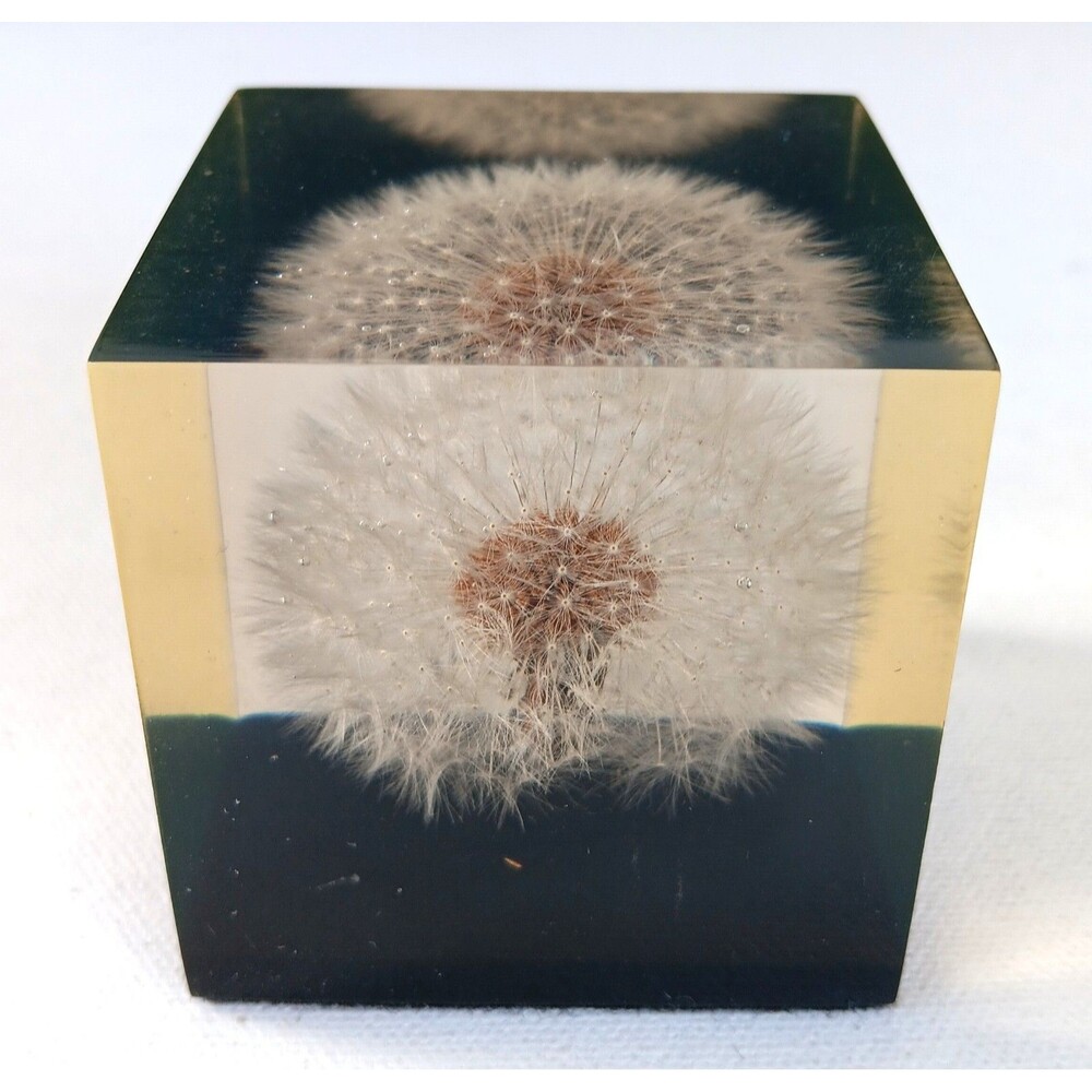 Vintage Dandelion Lucite Resin Cube Paperweight  Shoreline 2 3/8" Square